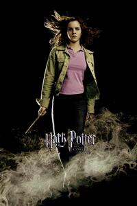 Umjetnički plakat Harry Potter - Hermione Granger, (26.7 x 40 cm)