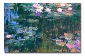 Zidna reprodukcija na platnu Claude Monet, 45 x 70 cm