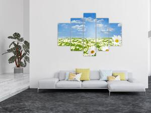Slika procvjetale livade s tratinčicama (150x105 cm)