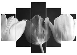 Slika - Crno-bijeli cvjetovi tulipana (150x105 cm)