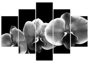 Slika cvijeta orhideje (150x105 cm)