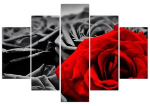 Slika - Cvjetovi ruže (150x105 cm)
