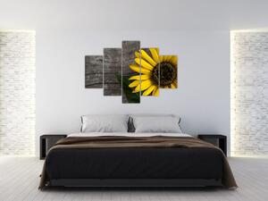 Slika - Cvijet suncokreta (150x105 cm)