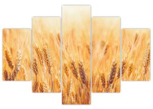 Slika - polje sa žitom (150x105 cm)