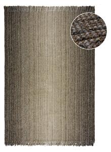 Sivi tepih 200x290 cm – Flair Rugs