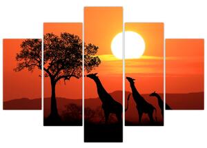 Slika žirafa u zalasku sunca (150x105 cm)