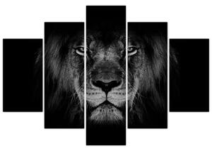Slika - Veličanstveni lav (150x105 cm)