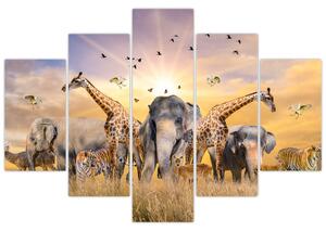 Slika - Afričke životinje (150x105 cm)