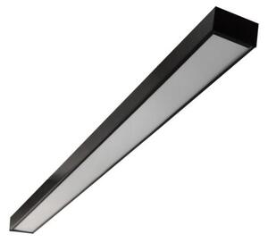 LED Stropna montirana viseća svjetiljka CYNIDECO LED/12W/230V 4000K crna
