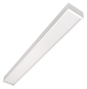LED Stropna montirana viseća svjetiljka CYNIDECO LED/12W/230V 4000K bijela
