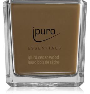 Ipuro Essentials Cedar Wood mirisna svijeća 125 g