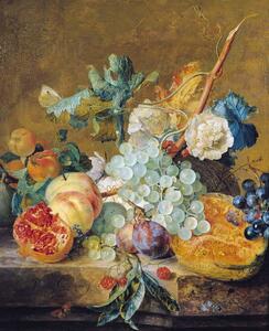 Reprodukcija Flowers and Fruit, Jan van Huysum