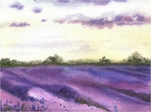Ilustracija Watercolor lavender field, hand drawn Provencal, Elena Dorosh, (40 x 30 cm)