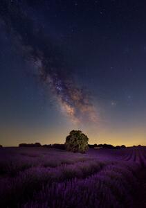 Umjetnička fotografija Milky Way dreams, Carlos Hernandez Martinez, (26.7 x 40 cm)