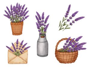 Ilustracija Set watercolor lavender bouquet in bucket,, Evgeniya Sheydt