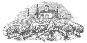 Ilustracija Rural landscape with villa, vineyard fields, DenPotisev, (40 x 22.5 cm)