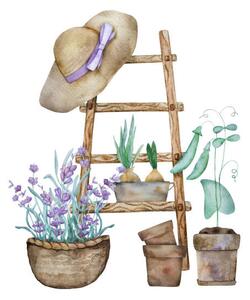 Ilustracija Beautiful lavender provence watercolor illustration, VYCHEGZHANINA, (40 x 40 cm)