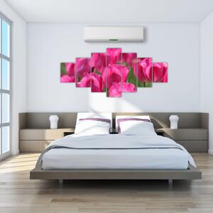 Slike - tulipani (210x100cm) (F002627F210100)