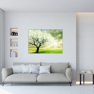 Proljetno drvo - moderne slike (60x40cm) (F002291F6040)