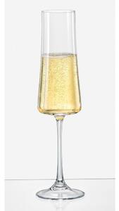 Set od 6 čaša šampanjca Crystalex Xtra, 210 ml