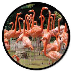 Zidni ukras Flamingo
