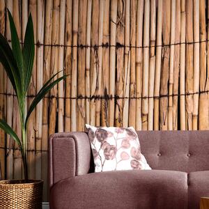 Fototapeta egzotični bambus