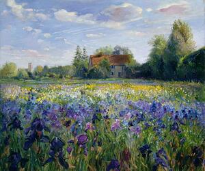 Timothy Easton - Reprodukcija umjetnosti Evening at the Iris Field, (40 x 35 cm)