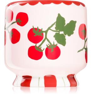 Paddywax A Dopo Tomato Vine mirisna svijeća 226 g