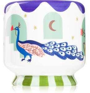 Paddywax A Dopo Peacock Blue mirisna svijeća 226 g
