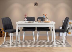 Woody Fashion Set stolova i stolica (5 komada), Bijela boja Antracit, Costa 1053 - 1 B