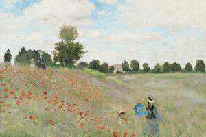 Reprodukcija Wild Poppies, near Argenteuil (1873), Claude Monet