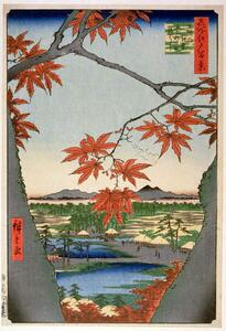 Hiroshige, Ando or Utagawa - Reprodukcija umjetnosti Maples leaves at Mama, (26.7 x 40 cm)