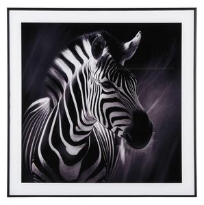 Slika 50x50 cm Zebra – PT LIVING