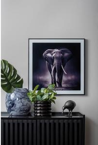 Slika 50x50 cm Elephant – PT LIVING