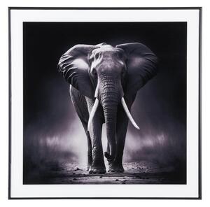 Slika 50x50 cm Elephant – PT LIVING