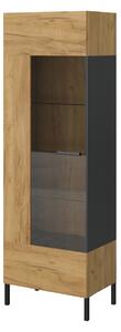Zondo.hr Vitrina Shanna (hrast craft zlatni + antracit). 1053226