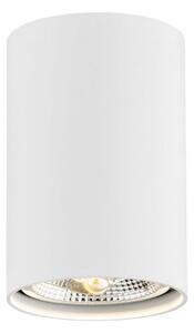 Argon 4910 - Reflektorska svjetiljka TUBO AR111 1xGU10/15W/230V bijela