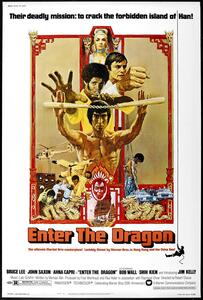 Ilustracija Enter The Dragon 0