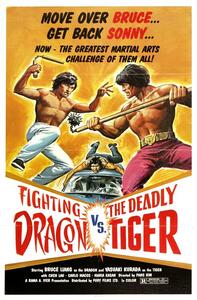 Ilustracija Fighting Dragon Vs Deadly Tiger