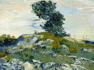 Reprodukcija The Rocks & The Oak (Vintage Landscape) - Vincent van Gogh