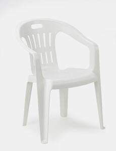 Plastična stolica PIONA BIJELA 56x55x78 cm