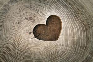 Tapeta simbol ljubavi na drvu