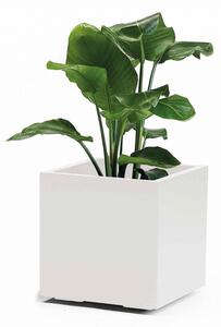 Tegla za biljke 40 x 40 cm bijela boja Nature - Bijela - 31 - 50 cm