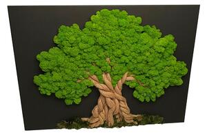 Drvo mahovine 60 x 90 cm
