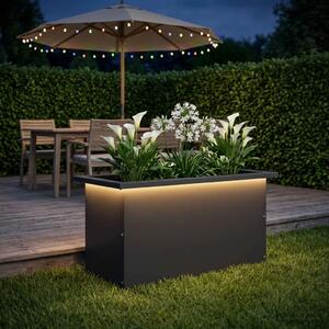 Vrtna posuda za sadnju s LED svjetlom Crna 30 x 60 x 30 cm - Crna 30 x 60 x 30 cm 1