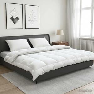 Set jastuka i popluna 3 kom. 240x260 cm 4 godišnja doba 220 GSM - 240 x 260 cm 30 x 50 cm