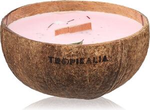 Tropicandle Frozen Cranberry mirisna svijeća s drvenim fitiljem 350 ml