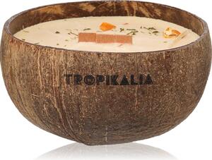 Tropicandle Sandalwood & Tangerine mirisna svijeća s drvenim fitiljem 350 ml