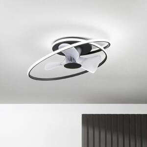 INTEC LED stropni ventilator Storm, crno-bijeli, Ø 77 cm CCT, tih, prigušiva, Crno, Dnevni boravak/blagovaonica, Metal