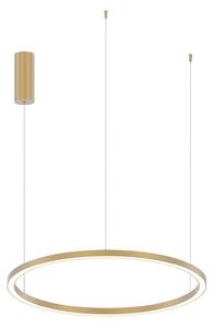 Luce Ambiente Design LED viseća svjetiljka Hoop, zlatna, Ø 80 cm, metal, CCT, Zlato / mjed, Dnevni boravak/blagovaonica, Aluminij